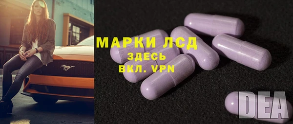 эйфоретик Инсар