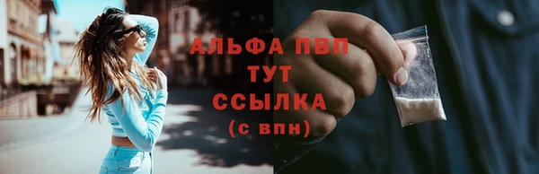 эйфоретик Инсар