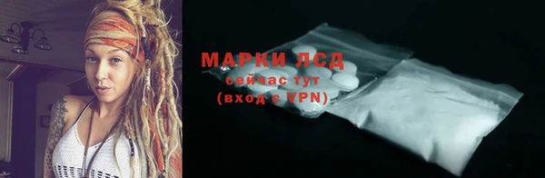 ГАЛЛЮЦИНОГЕННЫЕ ГРИБЫ Печоры