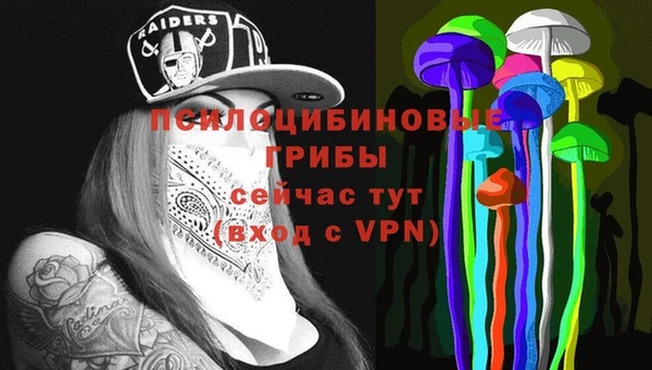 spice Фёдоровский
