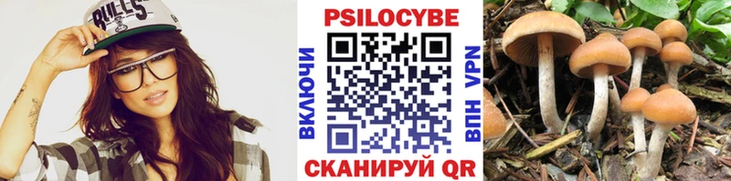 Псилоцибиновые грибы GOLDEN TEACHER Пустошка